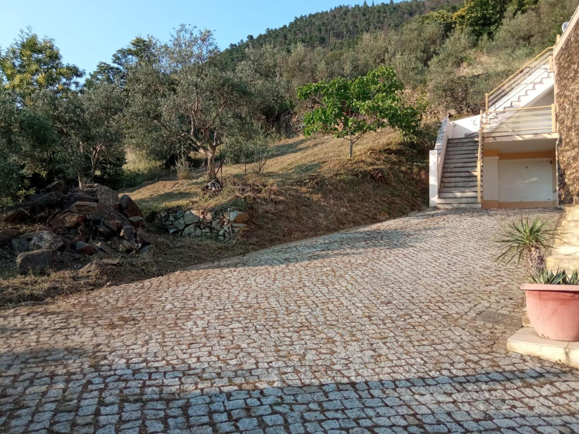 Casa Das Oliveiras - Manteigas Exterior photo
